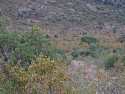 IMG_5793.jpg