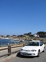 On the scenic '17 mile drive' along the Pacific Ocean