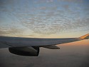 IMG_4958.jpg