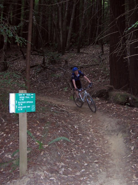 Exiting Sawpit trail