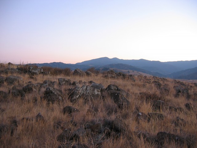 IMG_4639.jpg
